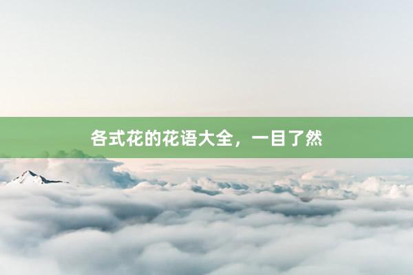 各式花的花语大全，一目了然